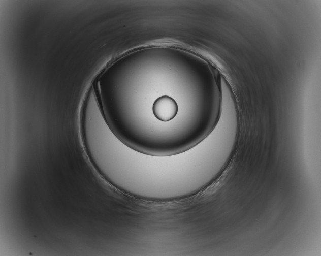X0000088081430200705251359