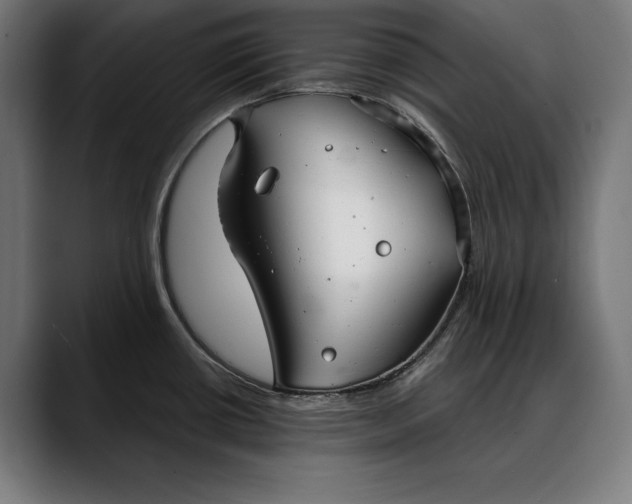 X0000088081434200705251359