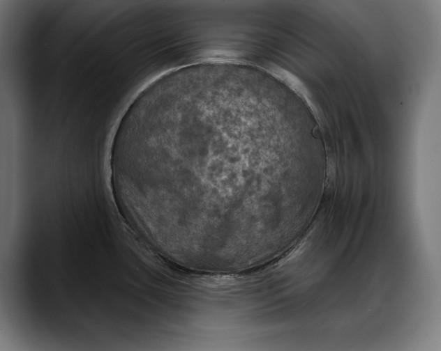 X0000088081435200705251359