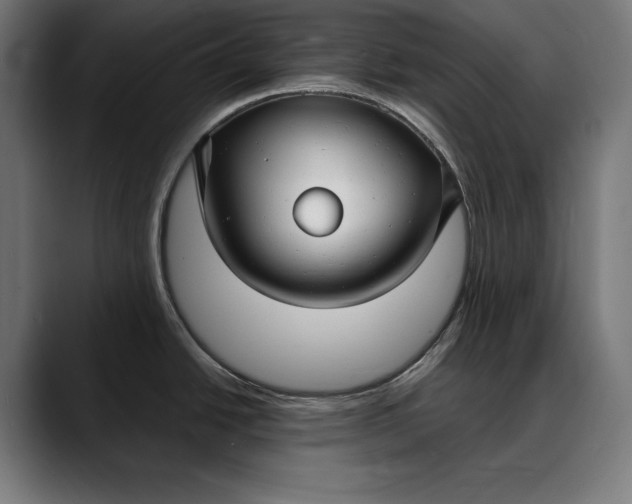 X0000088081438200705251359