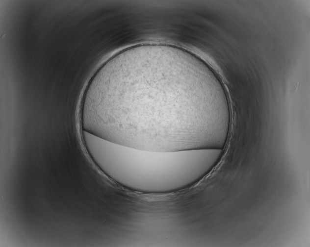 X0000088081440200705251359