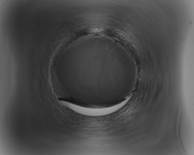 X0000088081441200705251359