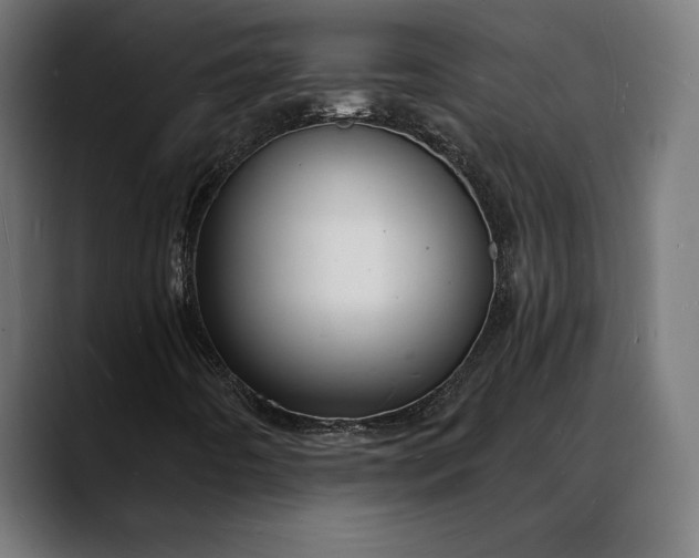 X0000088081442200705251359
