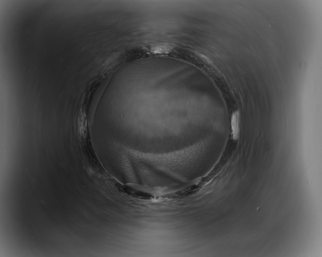 X0000088081443200705251359