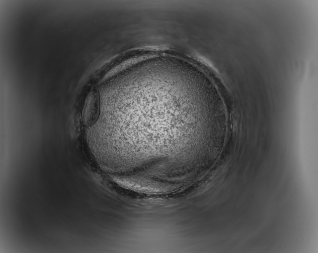 X0000088081448200705251358
