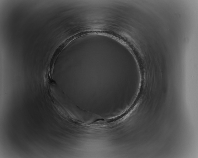 X0000088081449200705251358