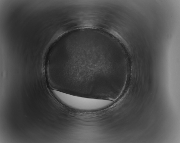 X0000088081450200705251358