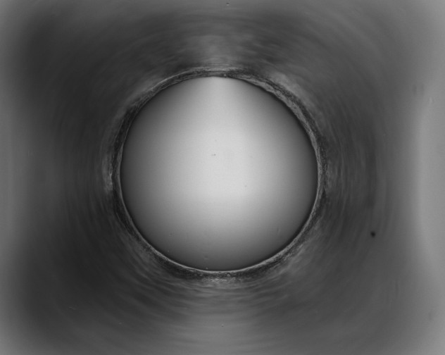 X0000088081451200705251358