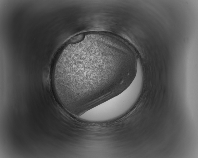X0000088081452200705251358