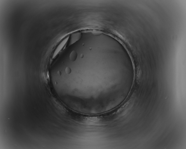 X0000088081455200705251358