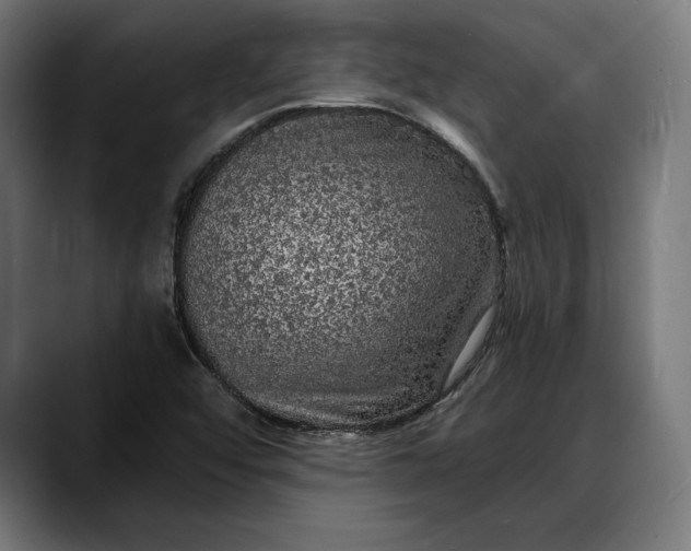 X0000088081456200705251358