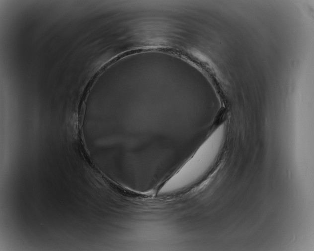 X0000088081457200705251358