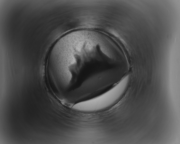 X0000088081459200705251358