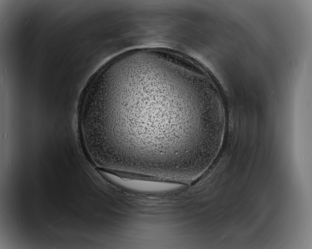 X0000088081460200705251358