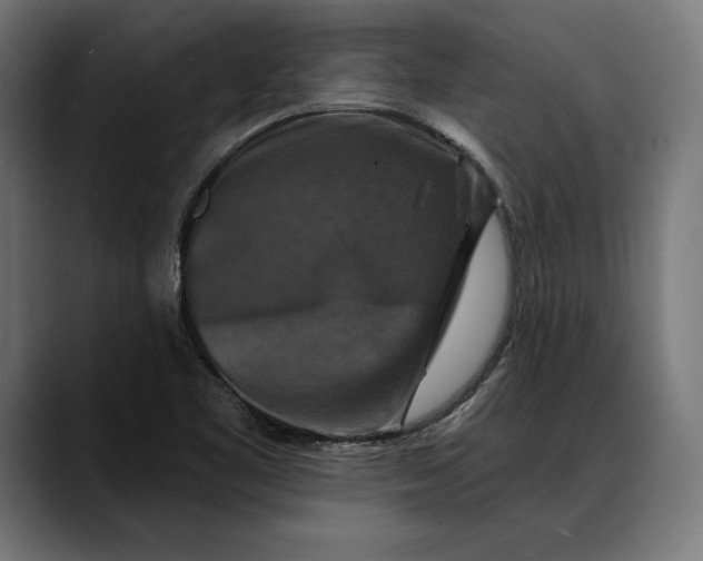 X0000088081461200705251358