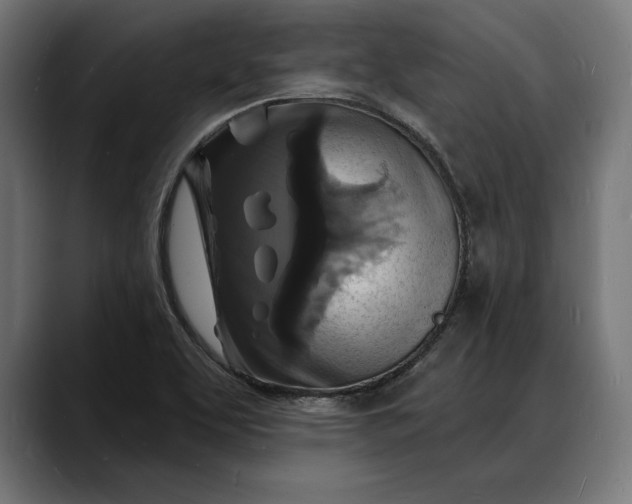 X0000088081463200705251358