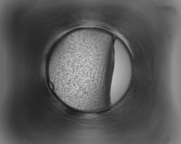 X0000088081464200705251358