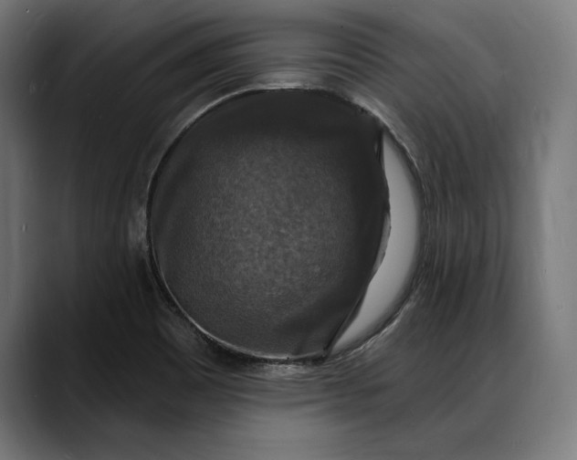 X0000088081465200705251358
