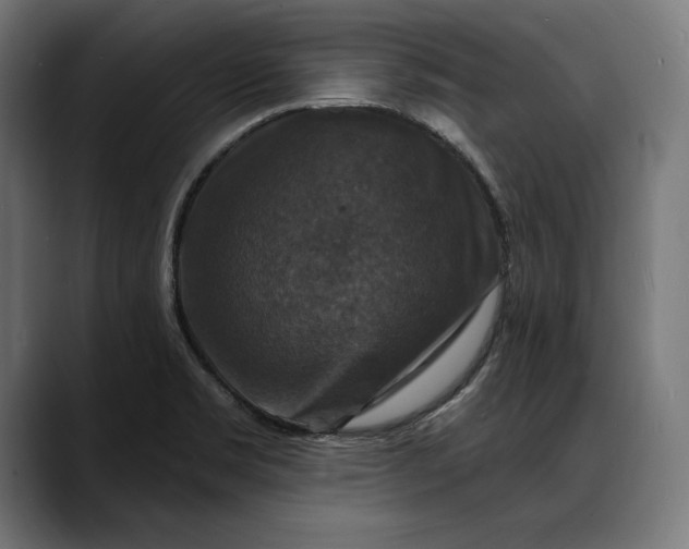 X0000088081469200705251358