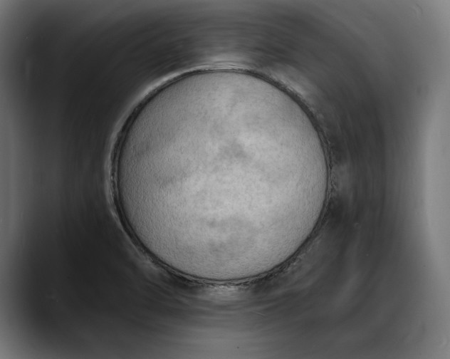 X0000088081470200705251358