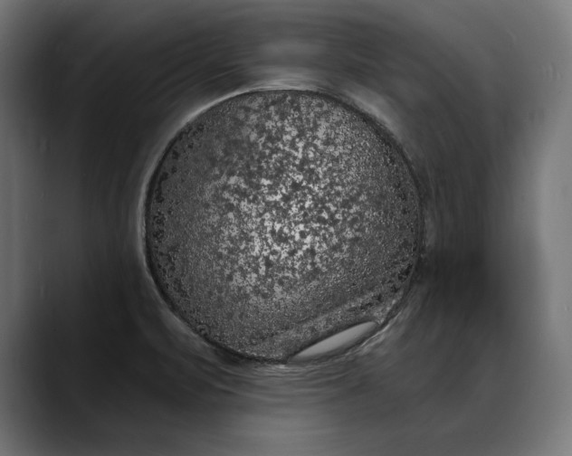 X0000088081471200705251358