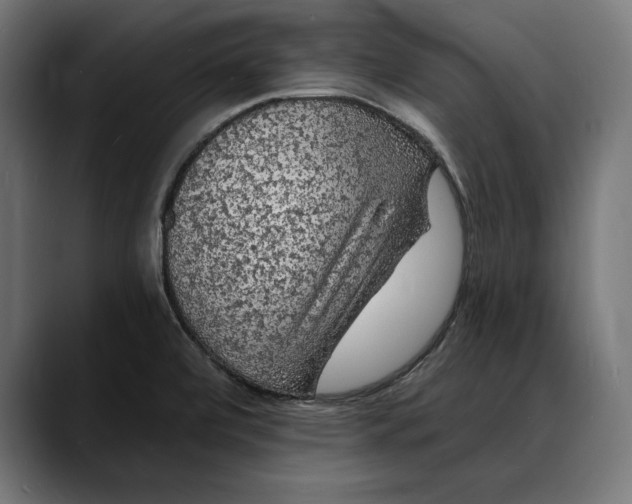 X0000088081472200705251358