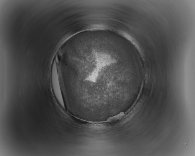 X0000088081473200705251358