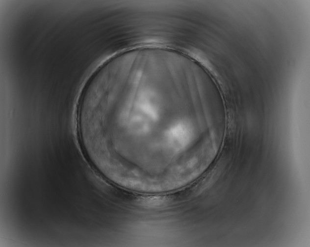 X0000088081474200705251358