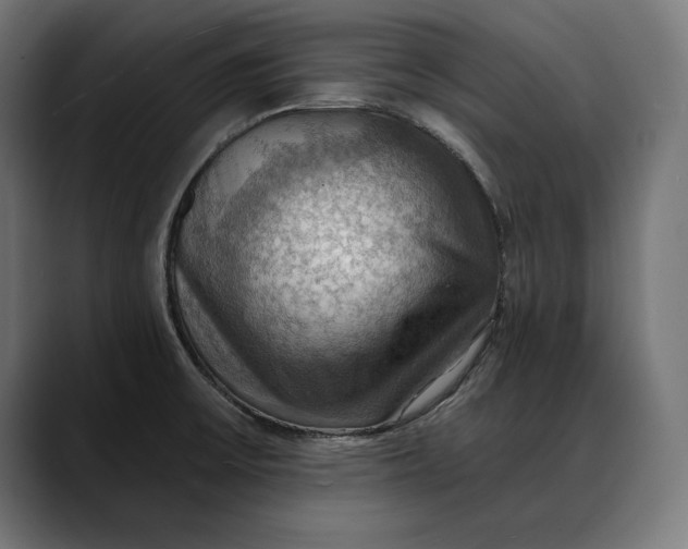 X0000088081475200705251358