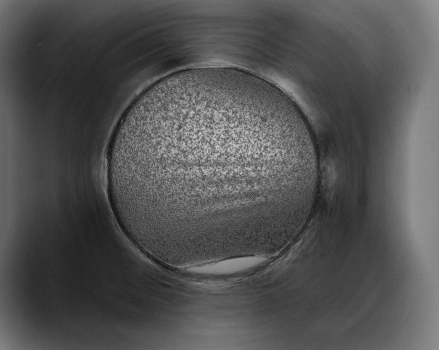 X0000088081476200705251358