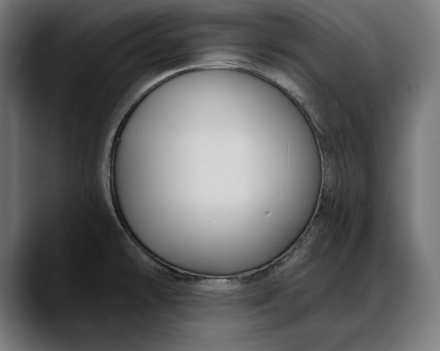 X0000088081478200705251358