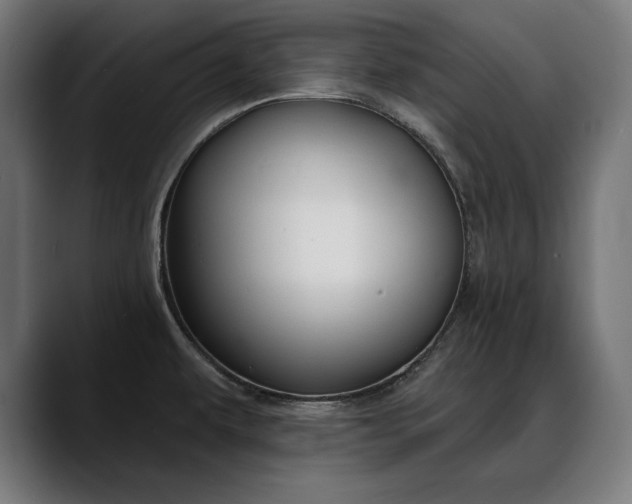 X0000088081479200705251358