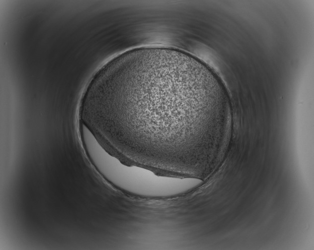 X0000088081480200705251358