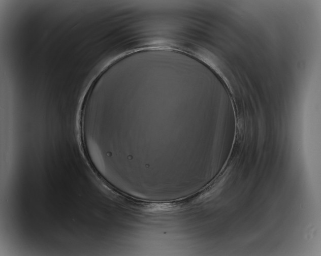 X0000088081482200705251358