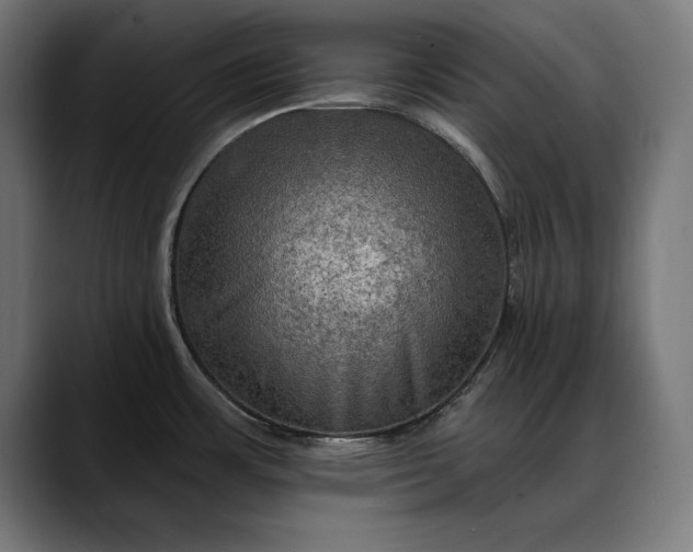 X0000088081483200705251358