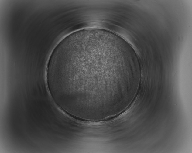 X0000088081484200705251358