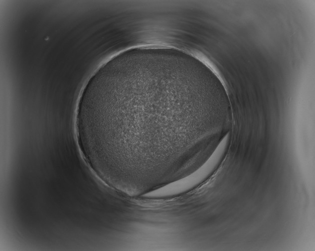 X0000088081485200705251358