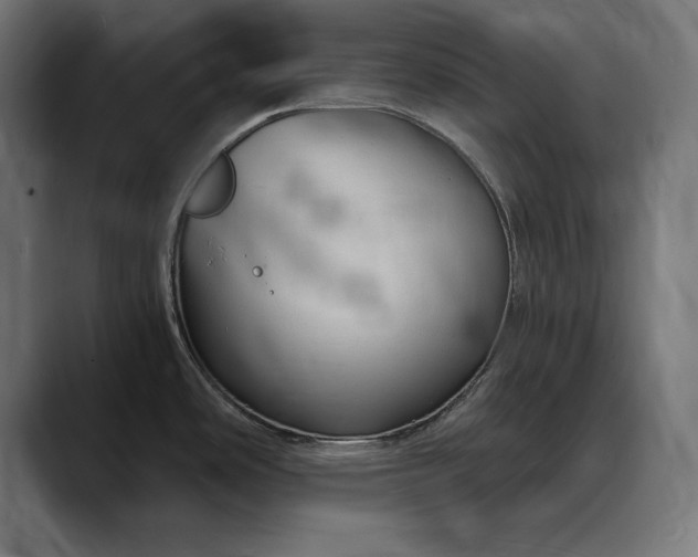 X0000088081486200705251358