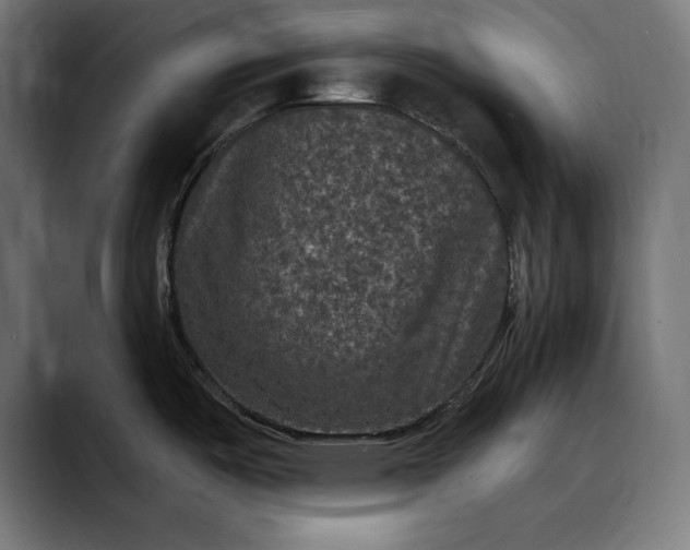 X0000088081487200705251358