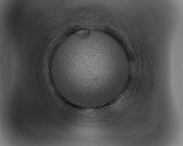 X0000088081489200705251357
