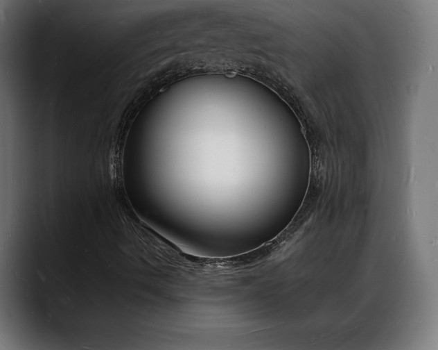 X0000088081490200705251357