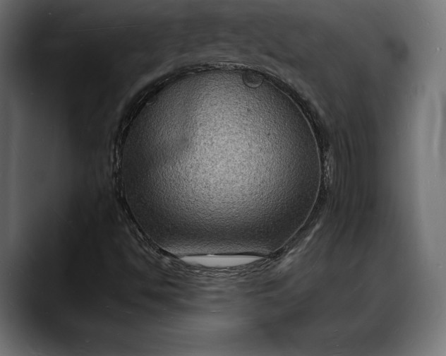 X0000088081494200705251357