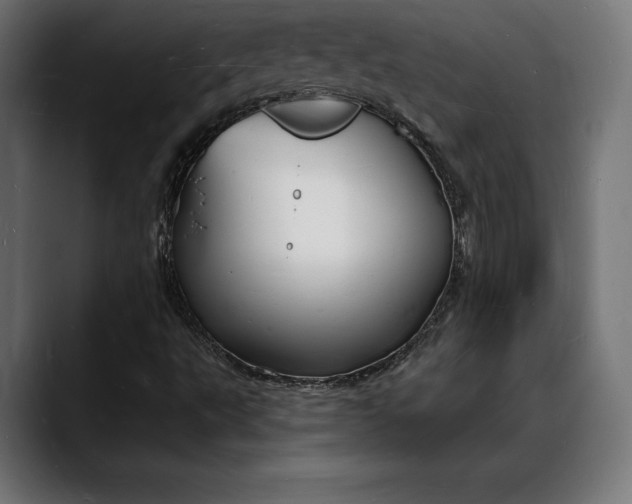 X0000088081495200705251357