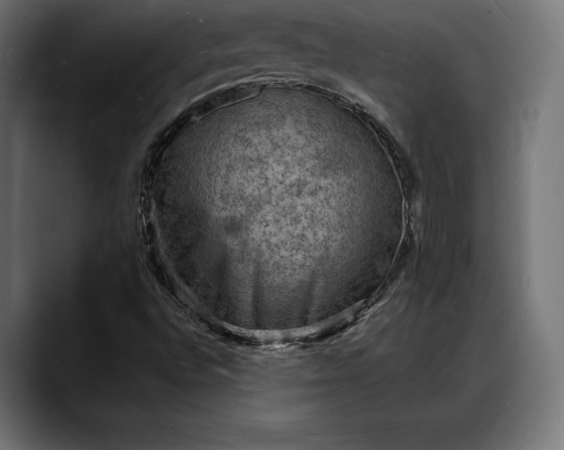 X0000088081496200705251357