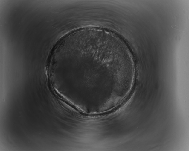 X0000088081497200705251357