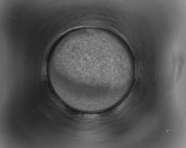 X0000088081498200705251357