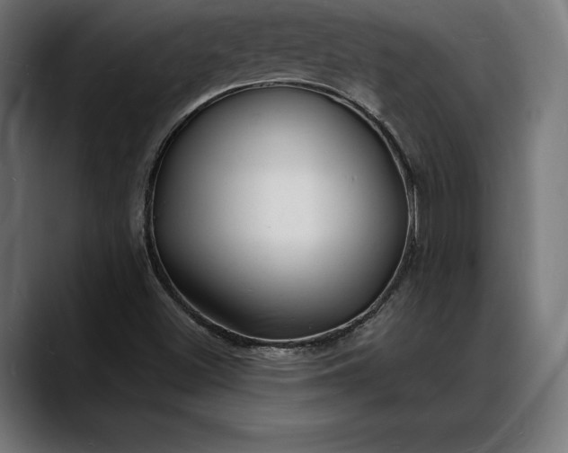 X0000088081500200705251357