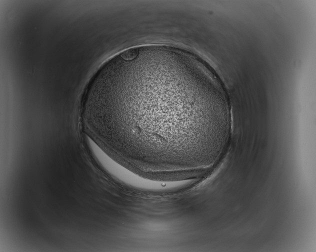 X0000088081501200705251357