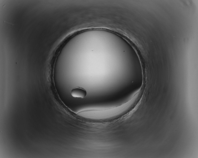X0000088081502200705251357