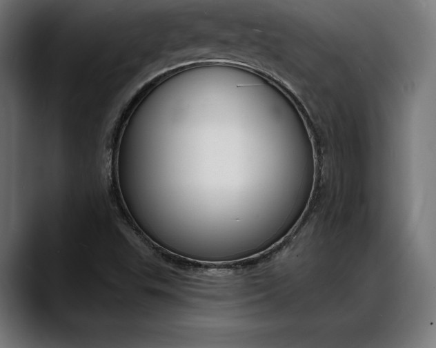 X0000088081503200705251357